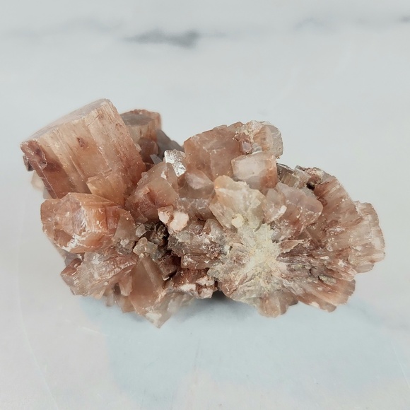 Star Aragonite Cluster | Stability • Earth Connection • Emotional Healing - Picture 4 of 6